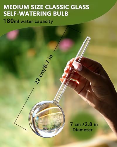 ZhenD Iridescent SelfWatering Plant Globes Glass Self Watering Planter Insert for Indoor and Outdoor Automatic Plant Waterer HandBlown Premium Glass 2 Pack - Image 3