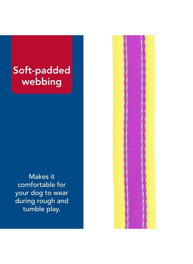 كوستال طوق عاكس للكلاب قابل للتعديل من Coastal Pet - Pro، أرجواني مع أصفر، 1 بوصة × 14-20 بوصة - Image 4