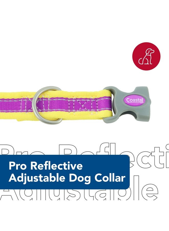 كوستال طوق عاكس للكلاب قابل للتعديل من Coastal Pet - Pro، أرجواني مع أصفر، 1 بوصة × 14-20 بوصة - Image 2