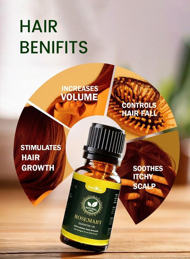 Gratihive 100% Pure Rosemary Essential Oil for Hair - Nourishing Rosemary Oil - 1 Pack Ideal for Women & Men - 15 ml - Image 3