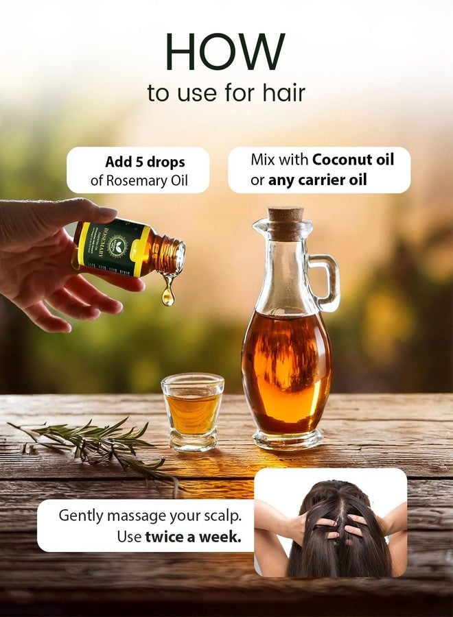 Gratihive 100% Pure Rosemary Essential Oil for Hair - Nourishing Rosemary Oil - 1 Pack Ideal for Women & Men - 15 ml - Image 5