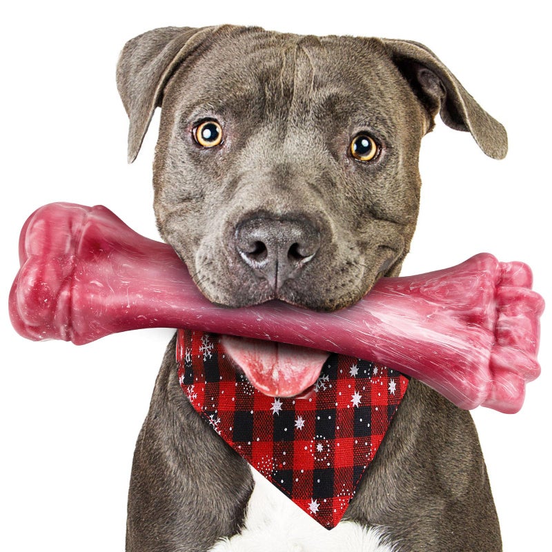 PUPTILY Dog Toys for Aggressive Chewers, Indestructible Dog Bones for Aggressive Chewers, Tough Chew Toy for Heavy Duty Dogs, Big Teething Toys with Durable Nylon for Large/Medium Breed Puppies - Image 1