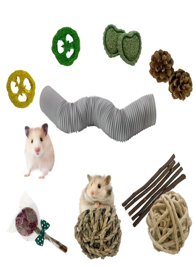 MUYG Hamster Fun Tunnels,Guinea Pigs Tunnel with,2Pcs Small Animal Folding Tube Guinea Pigs Training Hideout Tunnel 15 Pcs Pet Chew Toys for Chinchillas Rats Gerbils （Grey ） - Image 1