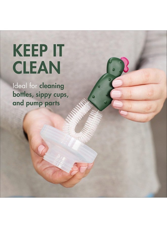 بون مجموعة بون كاكتي البديلة - زجاجة، فرشاة قشة، حلمة، تفاصيل - غير سامة، نايلون متين، متعدد الألوان، 4 قطع - Image 4