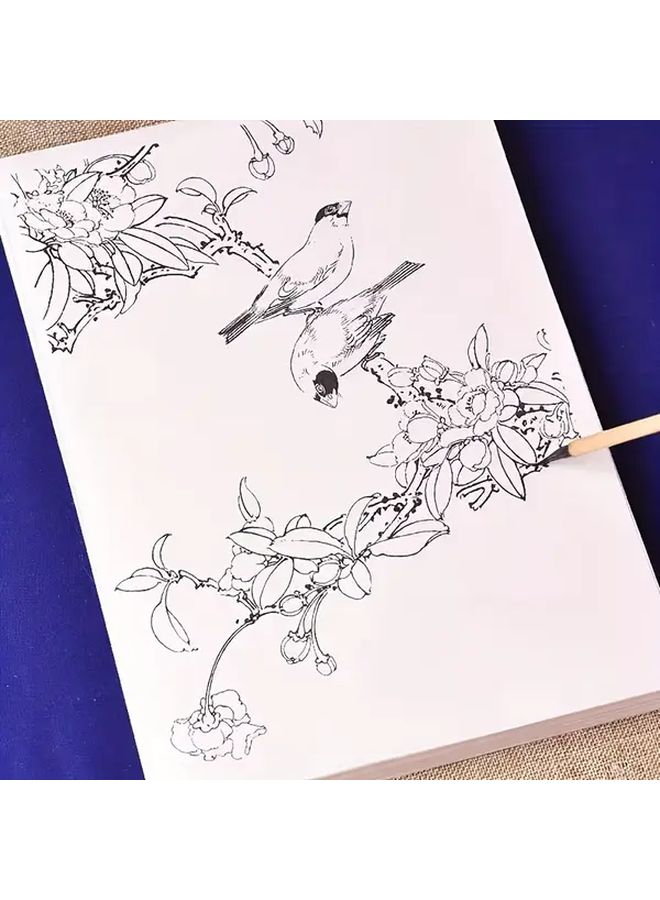 95 Pieces Of Mica Rice Paper Flower And Bird Line Drawing Manuscripts For Chinese Painting Watercolor Beginner - Image 3