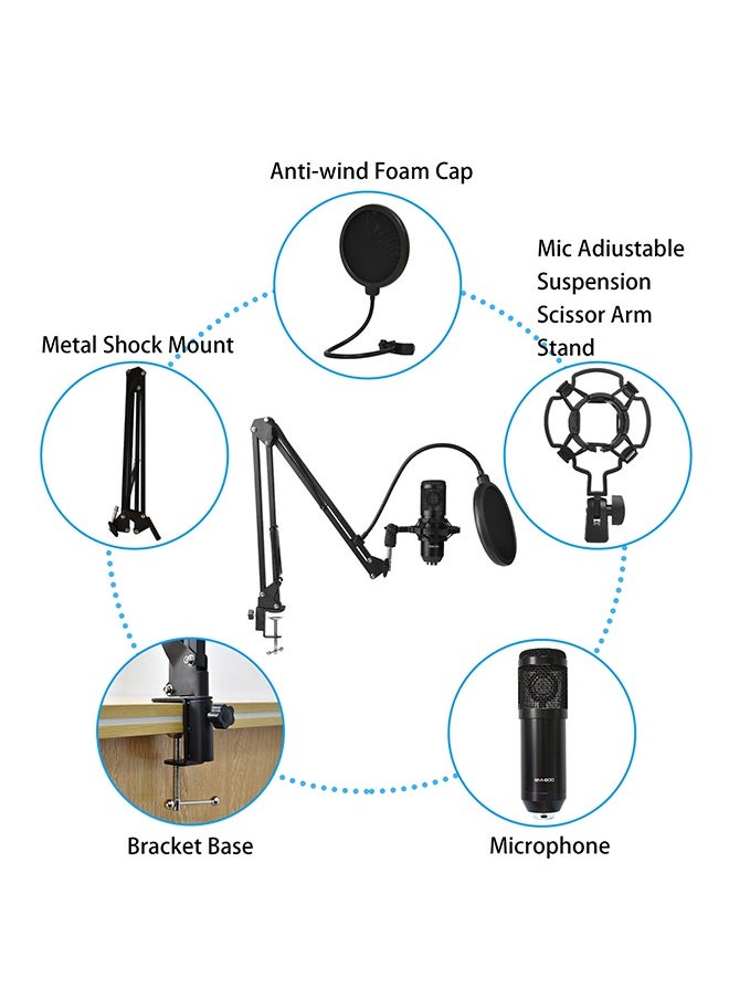 Mi VAZA - Wireless Karaoke Microphone Professional Condenser With Tripod Sound Card V9XPRO - Image 1