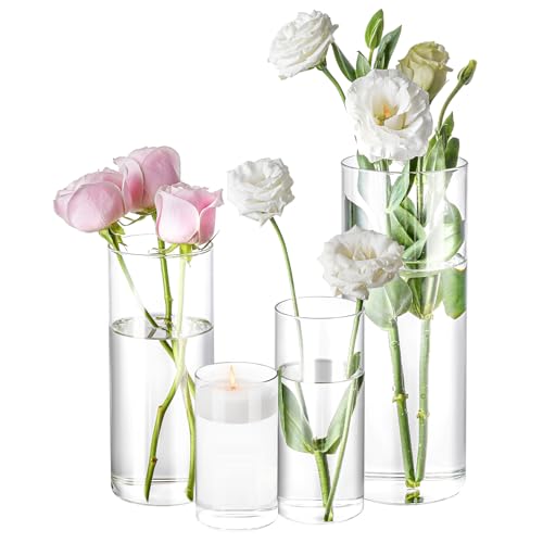 HomJoy 4 Pack Glass Cylinder Vases 4,6,8,10 Inch Tall Clear Flower Vase Hurricane Floating Candle Holder for Table Centerpiece Wedding Home Decor - Image 1