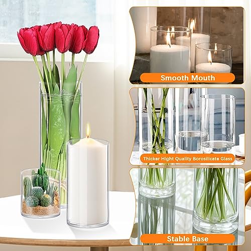 HomJoy 4 Pack Glass Cylinder Vases 4,6,8,10 Inch Tall Clear Flower Vase Hurricane Floating Candle Holder for Table Centerpiece Wedding Home Decor - Image 3
