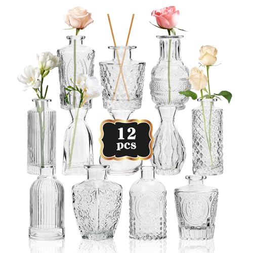 RUCKAE Small Clear Bud Vases Bulk 12 Pack Mini Flower Glass Vases for Centerpiece Table Wedding Decorations Home Decor PartyTransparent
