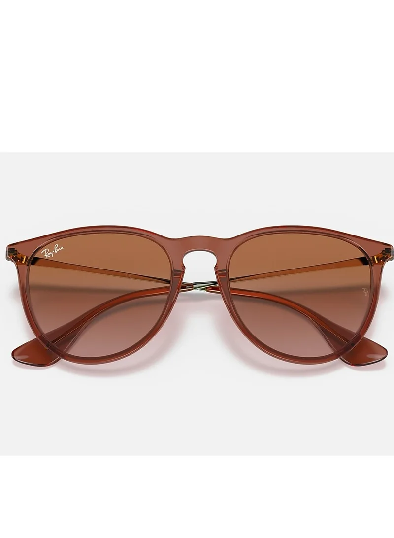 Ray-Ban 0Rb4171 Sunglasses