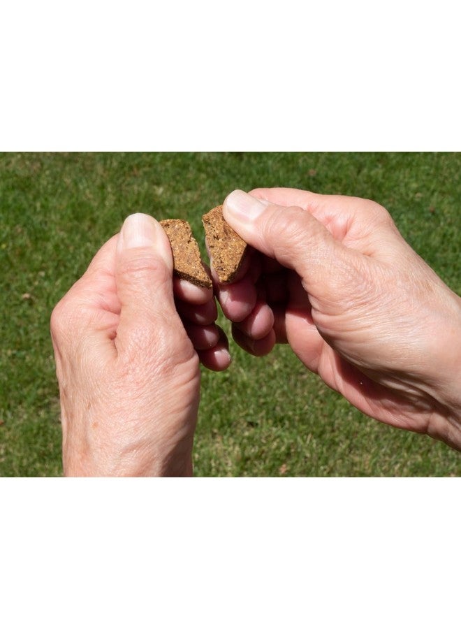 دارفورد وصفة لحم الضأن المشوي Zero/G - مكافآت صغيرة للكلاب، 12 أونصة - Image 2