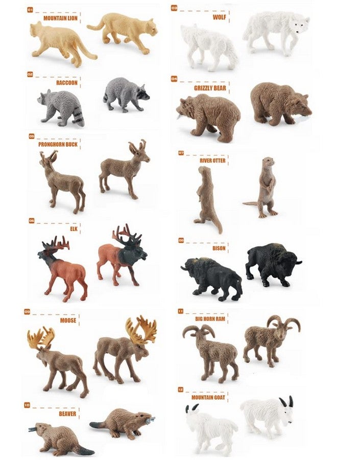 NatureMan North American Animals Set 12PCS Mini Wild Animals Figurines Set cludes Moose Raccoon Cougar, Wolf, Beaver for Children Educational Toy Cake Toppers - Image 4