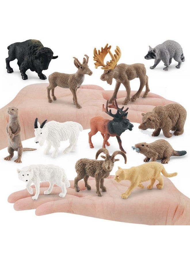 NatureMan North American Animals Set 12PCS Mini Wild Animals Figurines Set cludes Moose Raccoon Cougar, Wolf, Beaver for Children Educational Toy Cake Toppers - Image 2