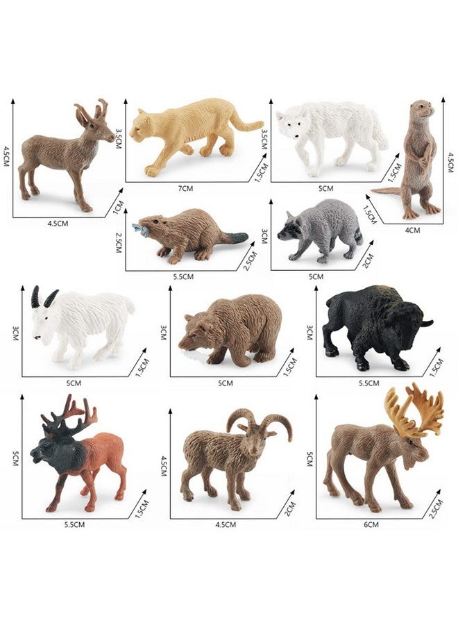 NatureMan North American Animals Set 12PCS Mini Wild Animals Figurines Set cludes Moose Raccoon Cougar, Wolf, Beaver for Children Educational Toy Cake Toppers - Image 3
