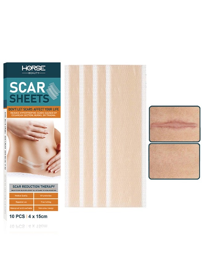 Horse Silicone Scar Sheets - As Surgical Cream, Gel, Tape, Strips, Patches - Keloid, C-Section, Tummy Tuck - Surgery Scars Removal Treatment (10 Pack, 4cmx15cm)  - Image 1