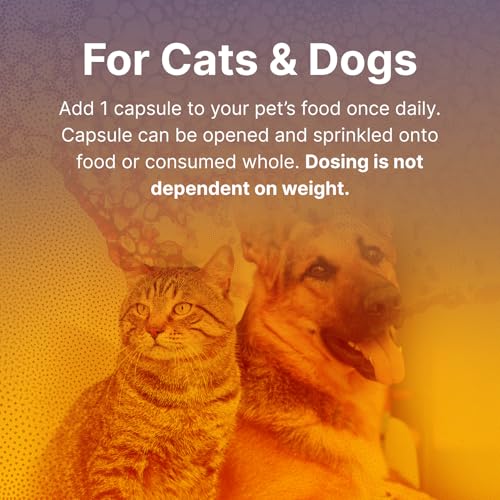 Microbiome Labs Fidospore - Dog Probiotics for Digestive Health & Immune Support - Spore-Forming Pet Probiotics for Dogs & Cats Gut Health - Flavored with Grass Fed Beef Liver (30 Capsules) - Image 5