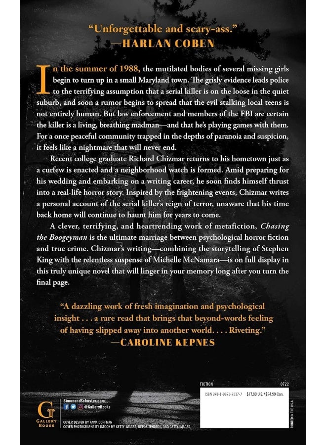 Chasing the Boogeyman: A Novel - Image 2