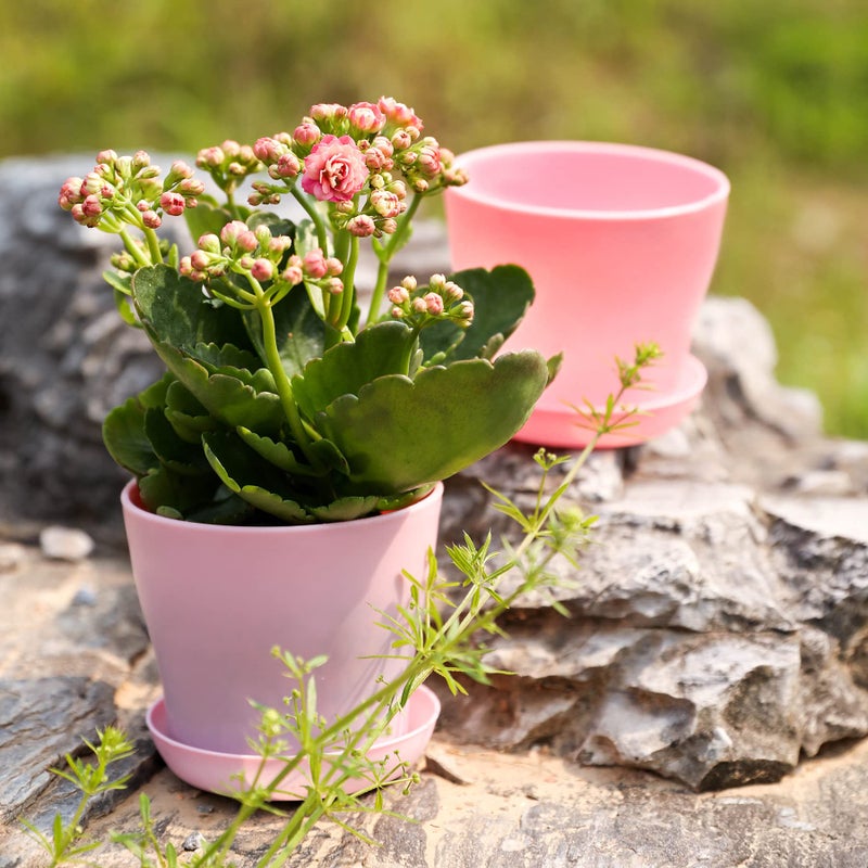 TDHDIKE 10 Pcs Plastic Planters Indoor Flower Plant Pots, Mini Flower Seedlings Nursery Pot/Planter/Flower Pot with Pallet, Modern Decorative Gardening Containers (Pink) - Image 4