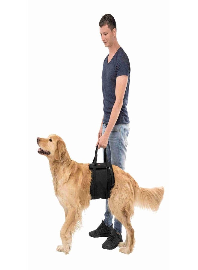 Trixie Lifting Aid Dog Harness-Black (L-XL) - Image 2