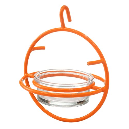 Monarch Abode Hanging Oriole Bird Feeder with Clear Glass Bowl, Perch & Orange Prongs Outdoor Bird Feeders for Orioles, Birdfeeders for Outdoors Hanging Garden Patio Deck Yard - Image 1