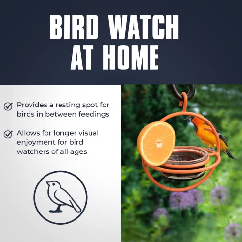 Monarch Abode Hanging Oriole Bird Feeder with Clear Glass Bowl, Perch & Orange Prongs Outdoor Bird Feeders for Orioles, Birdfeeders for Outdoors Hanging Garden Patio Deck Yard - Image 4