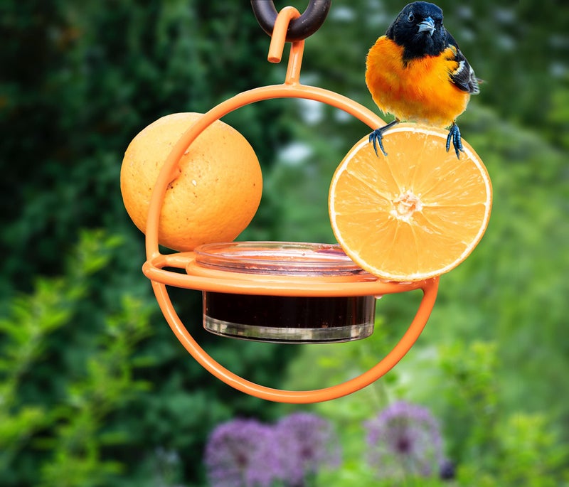 Monarch Abode Hanging Oriole Bird Feeder with Clear Glass Bowl, Perch & Orange Prongs Outdoor Bird Feeders for Orioles, Birdfeeders for Outdoors Hanging Garden Patio Deck Yard - Image 2