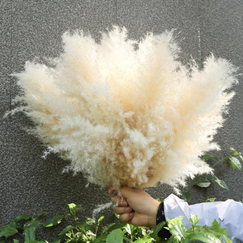 ROROUNE 10 Stems Beige Pampas Grass Decor, Natural Dried Pompas Grass, Bunny Tails Dried Flowers Fluffy Pampass Bulk for Weddings, Party, Farmhouse, Boho Home Decor(17inch) - Image 5