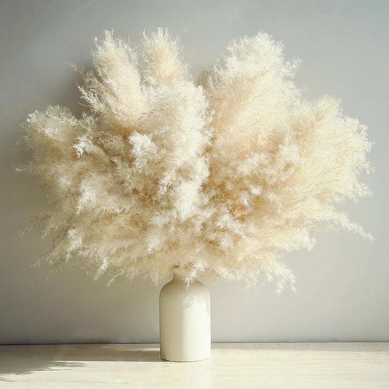 ROROUNE 10 Stems Beige Pampas Grass Decor, Natural Dried Pompas Grass, Bunny Tails Dried Flowers Fluffy Pampass Bulk for Weddings, Party, Farmhouse, Boho Home Decor(17inch) - Image 1