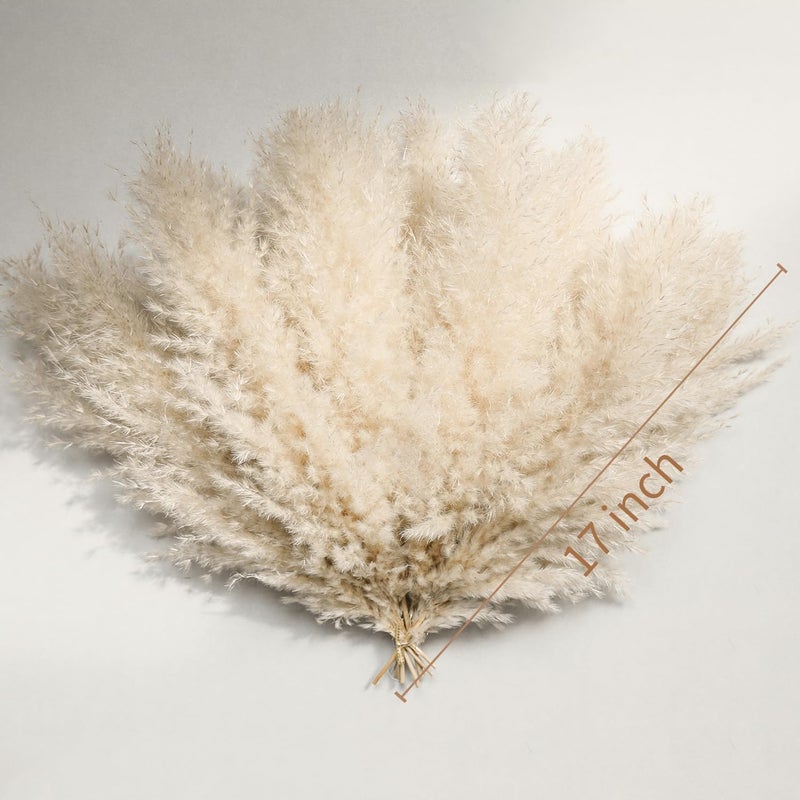 ROROUNE 10 Stems Beige Pampas Grass Decor, Natural Dried Pompas Grass, Bunny Tails Dried Flowers Fluffy Pampass Bulk for Weddings, Party, Farmhouse, Boho Home Decor(17inch) - Image 3