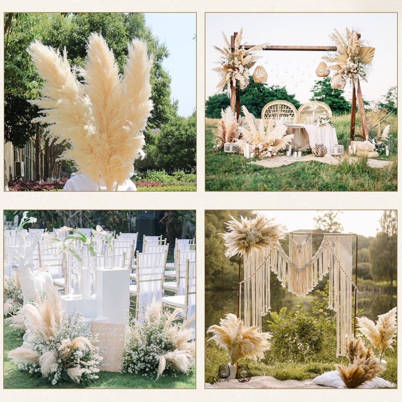 ROROUNE 10 Stems Beige Pampas Grass Decor, Natural Dried Pompas Grass, Bunny Tails Dried Flowers Fluffy Pampass Bulk for Weddings, Party, Farmhouse, Boho Home Decor(17inch) - Image 2