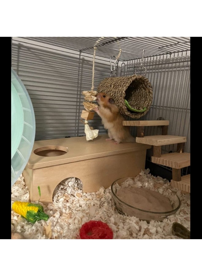 هامليدي ألعاب تسلق الهامستر، ألعاب الأضراس الخشبية للهامستر، مجموعة أنابيب الحفر والسلالم الخشبية، ملحقات الهامستر الآمنة للتسلق للأقفاص مع سلم للدب الحريري الذهبي والهامستر والجربوع وما إلى ذلك - Image 2