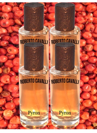 4 قطع عطر روبرتو كافالي 50 مل EDP - pzsku/Z2A56002F7678B0BA5CD7Z/45/_/1686088172/8f22148e-deb6-4252-ab04-5f21eae633c5