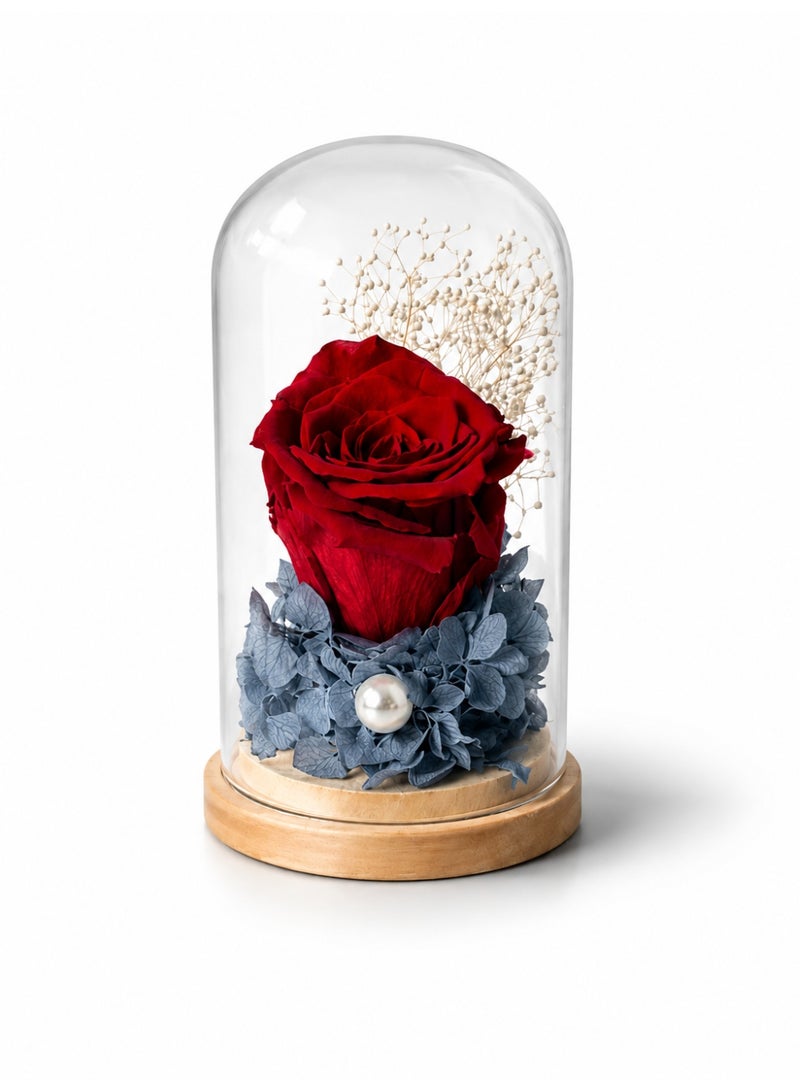 RAFAL Forever Red Rose in Glass Dome – Preserved Eternal Single Rose Lasts up to 2 Years, Premium Natural Flower, Luxury Romantic Gift, Elegant Table Decor for Special Occasions - Image 1