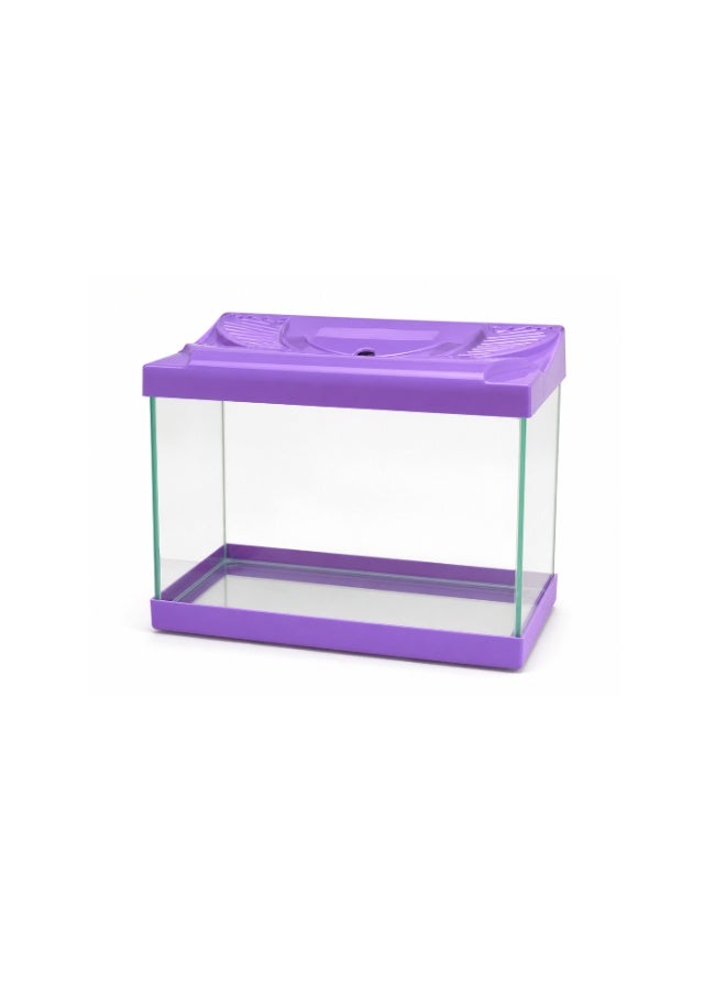 Small Glass Desktop Aquarium with Purple Plastic Trim & Cover (22.5cm) – Ideal Betta & Nano Fish Tank (Made in Turkey) - Image 1