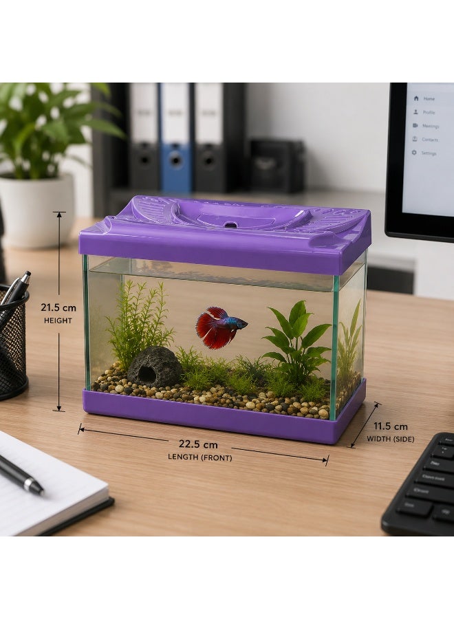 Small Glass Desktop Aquarium with Purple Plastic Trim & Cover (22.5cm) – Ideal Betta & Nano Fish Tank (Made in Turkey) - Image 2
