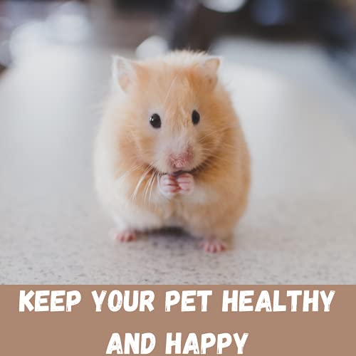 Savic Martha Triple Hamster & Guniea Pigs Cage, Cage Contains a House, Two Platforms, Ladder, Bowl, Exercise Wheel, and Bottle, Fun and Activity Cage for Small Pets, 19 x 12 x 14 inch - Image 3