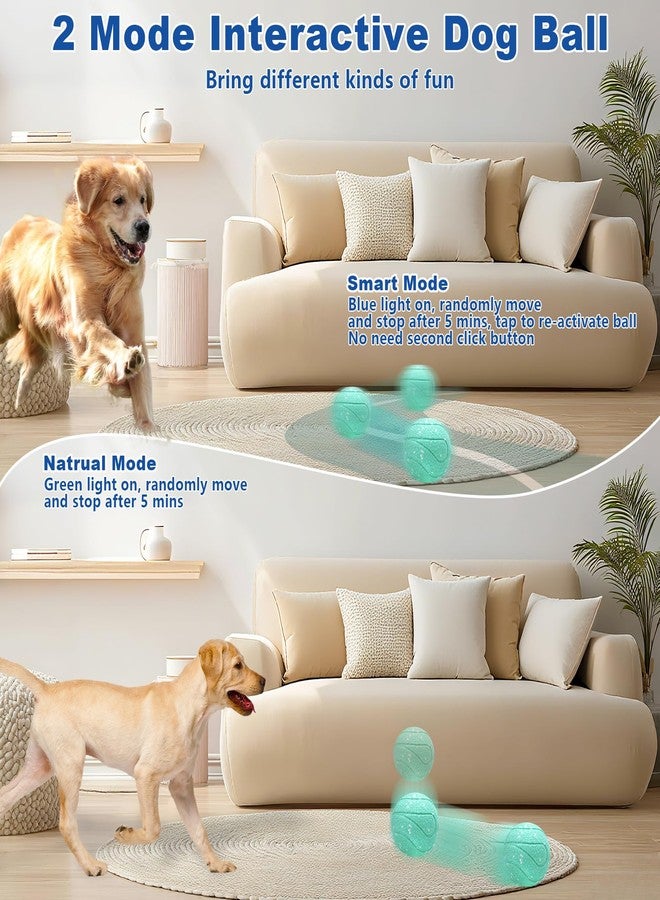 Magicorange ألعاب ماجيك أورانج التفاعلية للكلاب، ألعاب كرات الكلاب المتدحرجة تلقائياً، كرات تنس متدحرجة للكلاب، كرات رعي للكلاب (أزرق بحيري) - Image 4