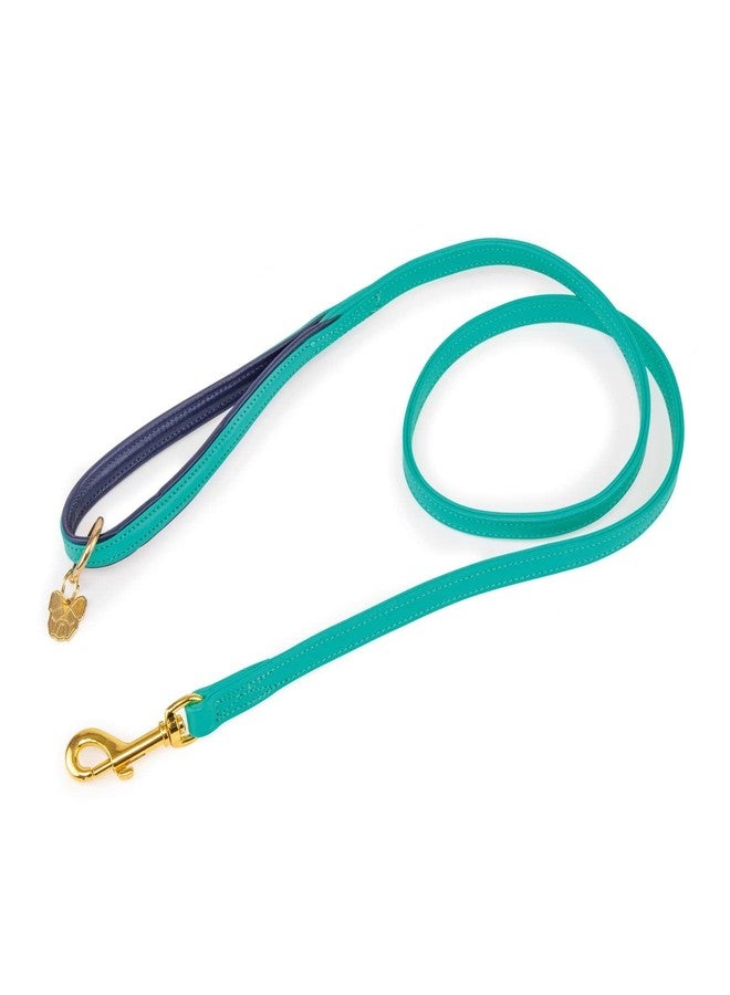 Digby & Fox Padded Leather Dog Lead (Aqua, 1.2CM)