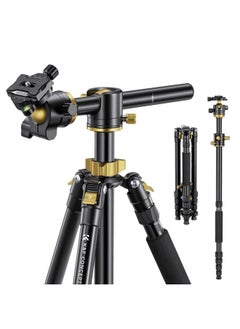 K&F Concept 67 inch Camera Tripod Horizontal Aluminum Tripods Portable Monopod with 32mm Ball Head 12KG Load Capacity Quick Release Plate, for Travel and Work T255A4+BH-32L(Golden)  - Image 1