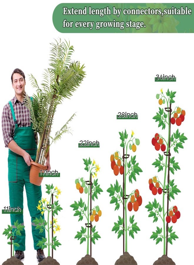 SupKing Plant Stakes 17inch &11inch SupKing 16Pcs Adjustable Flower Support Poles Brown Orchid Sticks with Clips for Indoor Outdoor Garden Potted Tomato Rose Amaryllis Vegetables Comes with 20 Ties - Image 5