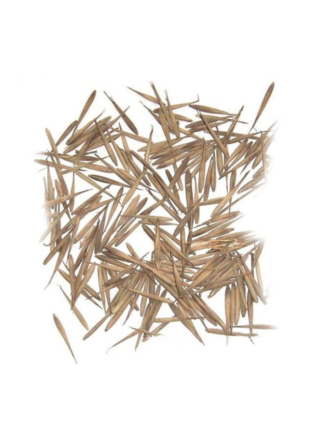 Aknur بذور الخيزران عالية الإنبات بني - Image 1