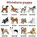 SCAHOW 12PCS Mini Dog Figurines Plastic Animals Mini Dog Figures Realistic Hand Painted Tiny Dog Toys Playset for Kids Toddlers Miniature Puppy Toys Cake Topper Christmas Birthday Gift - Image 4