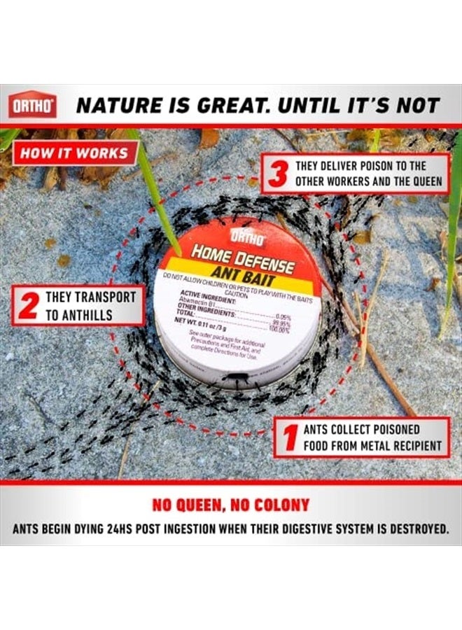 Ortho Ant Traps Indoor by ORTHO Home Defense 10pk- Metallic & Adhesive Ant Killer Indoor & Ant Killer Outdoor - Ant Trap & Ant Bait Traps Indoor Ant Killer - Ant Traps Outdoor,Ant Bait Outdoor - Image 3