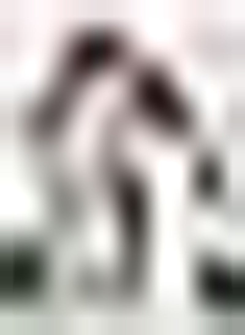 GGOOT 2pcs Pink Amaryllis Seeds Perennial Hardy Planting for Garden DIY Home Decor Cut Flower Window Sill Decoration Faint Fragrance When Flowers Bloom - Image 1