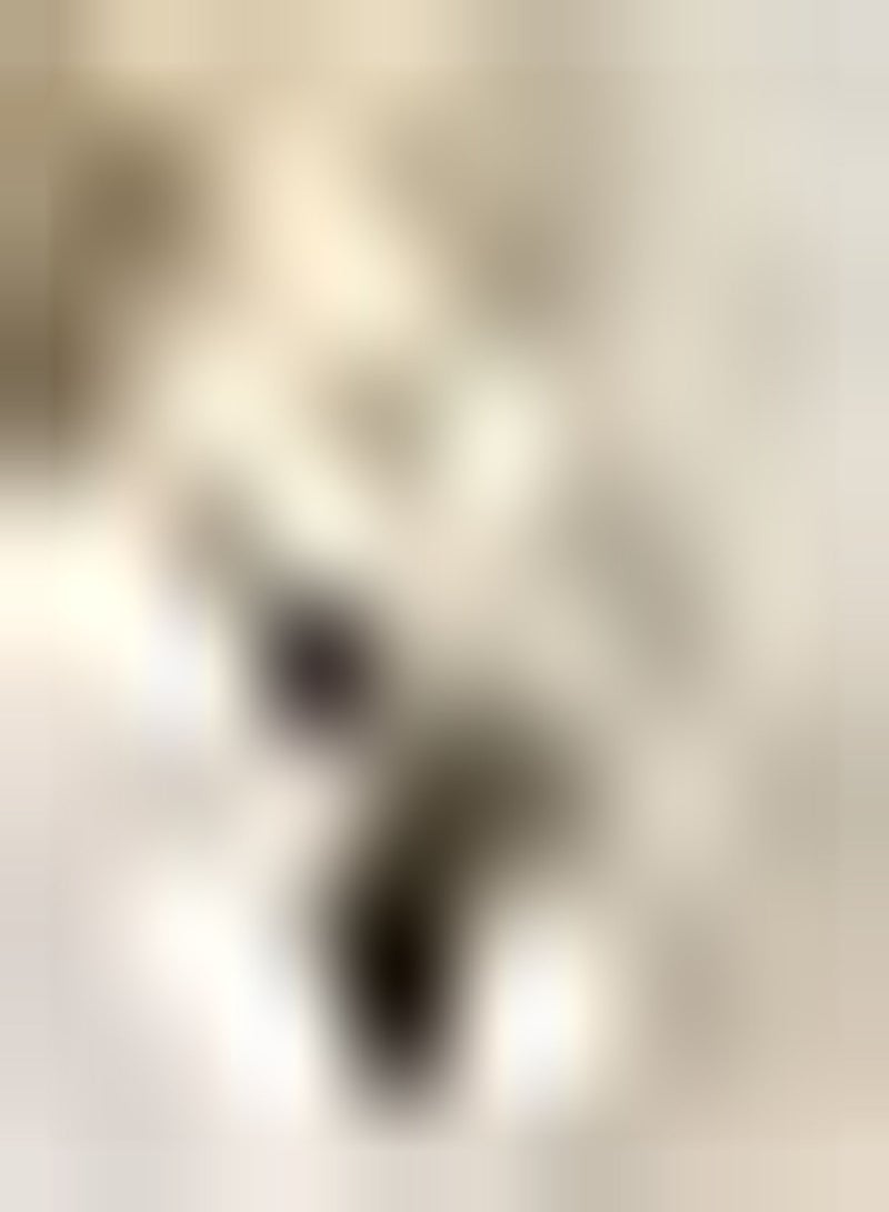 GGOOT 2pcs Pink Amaryllis Seeds Perennial Hardy Planting for Garden DIY Home Decor Cut Flower Window Sill Decoration Faint Fragrance When Flowers Bloom - Image 2