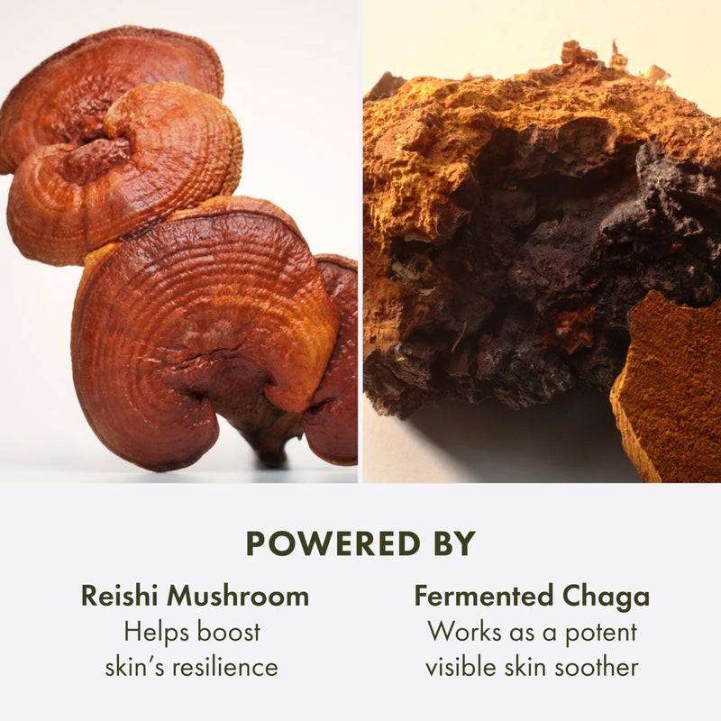 Origins Mega-Mushroom Soothing Treatment Lotion | Great for Sensitive Skin | With Reishi Mushroom | Travel Size, 3.4 Fl Oz - Image 5