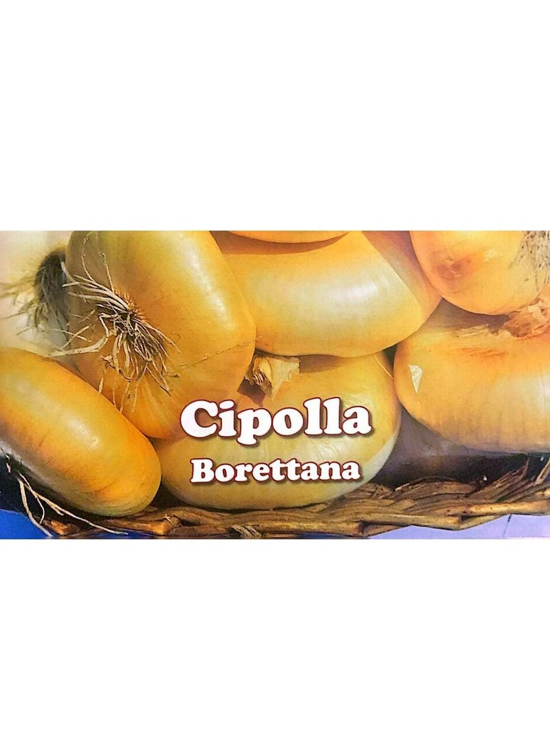 Buona Luna Onion Seeds  - Image 2