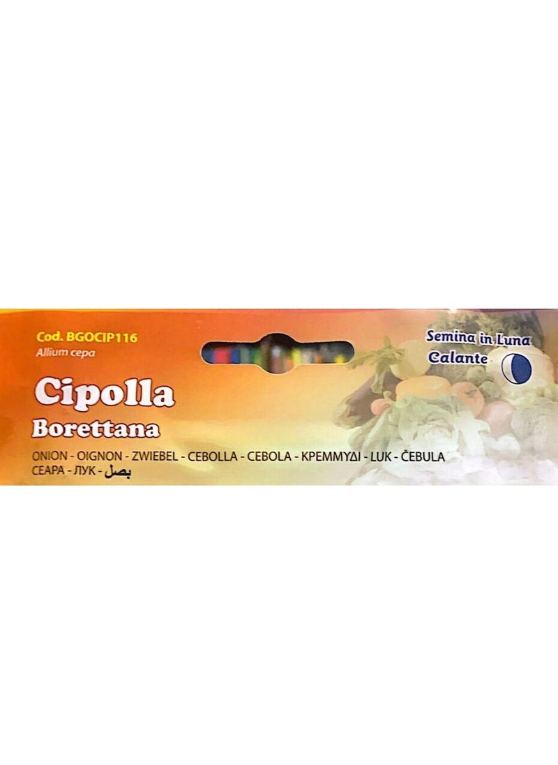Buona Luna Onion Seeds  - Image 3