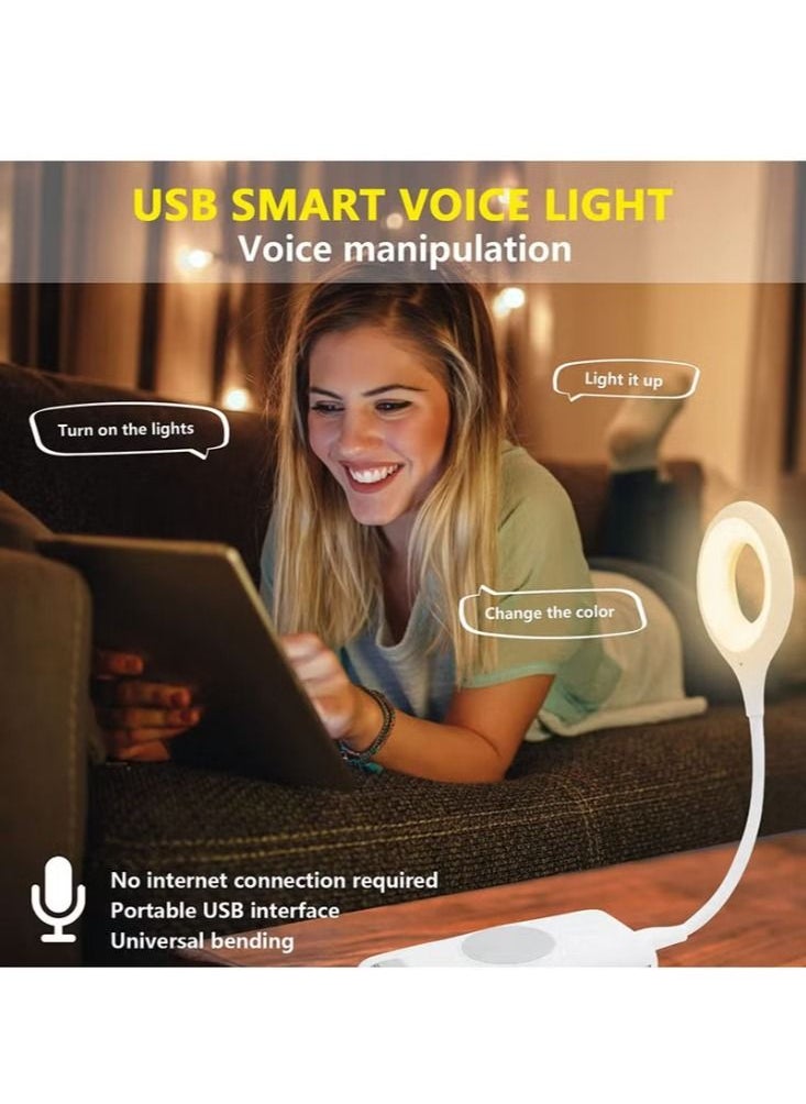 Dream Zone - Voice Control USB Light for Laptop Keyboard, LED Reading Lamp Portable Small Night Light with Flexible Gooseneck for Power Bank and Computer - Image 1