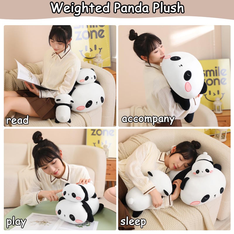 SQEQE Weighted Panda Plush  Weighted Panda Stuffed Animal for Anxiety  Cute Panda Plushies Soft Panda Bear Pillow Toy Gift for Kids Adults 9.8 Inch  0.8 lbs - Image 4